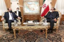 رژیم صهیونیستی با طرح به اصطلاح صلح در صدد تحقق شعار تسلط بر نیل تا فرات است