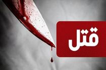 سناریوی یک زن برای کشتن شوهر ثروتمندش