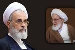 خدمات دینی و فقهی آیت‌الله فیاض ماندگار است