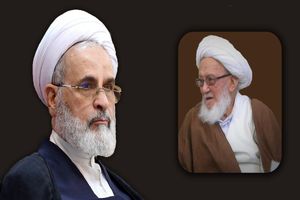خدمات دینی و فقهی آیت‌الله فیاض ماندگار است
