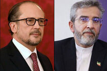  وزیرخارجه اتریش، شهادت شهدای خدمت را تسلیت گفت
