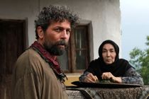 برزو ارجمند به سریال محرمی شبکه دو پیوست