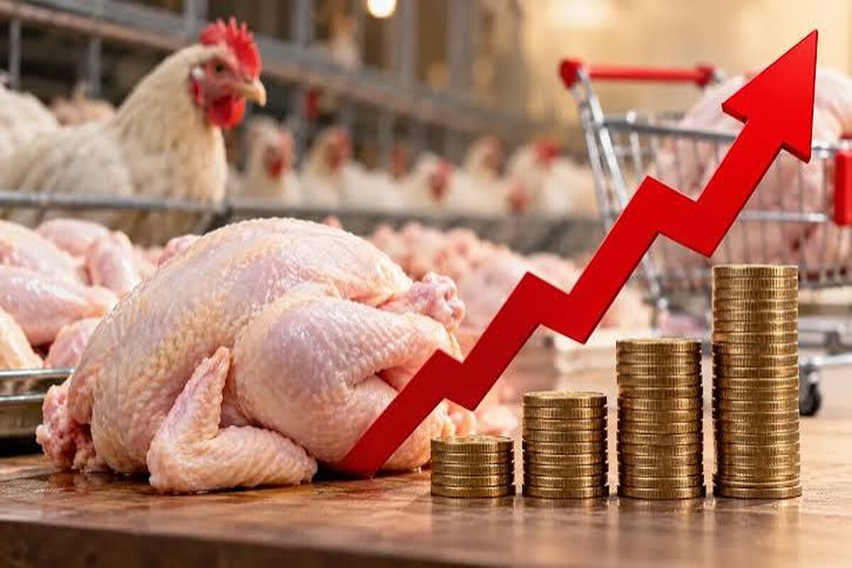 قیمت مرغ