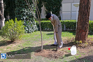 کاشت نهال توسط مقام معظم رهبری