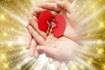 بیستمین اهدای عضو چهارمحال و بختیاری در سالجاری ثبت شد