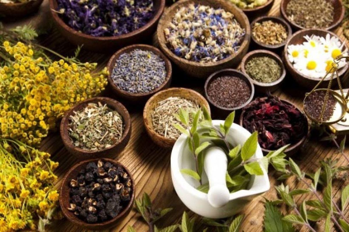 گیاهان دارویی