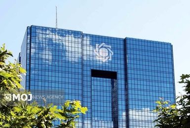 بانک مرکزی برای پرداخت وام‌های کلان شرط گذاشت