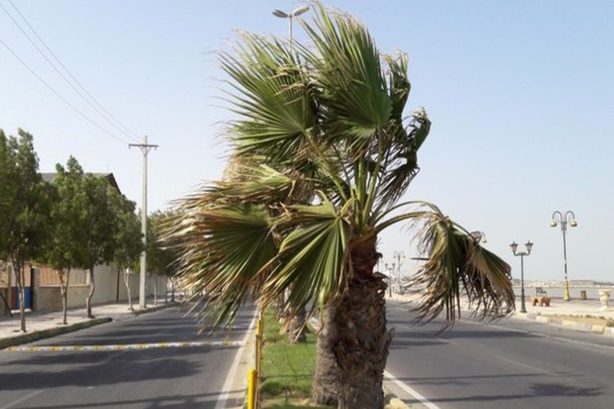 وزش باد