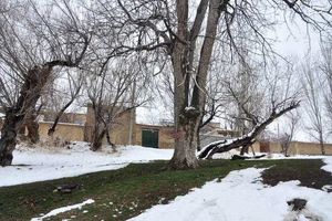 بارش نخستین برف پاییزی در سمیرم و بویین میاندشت