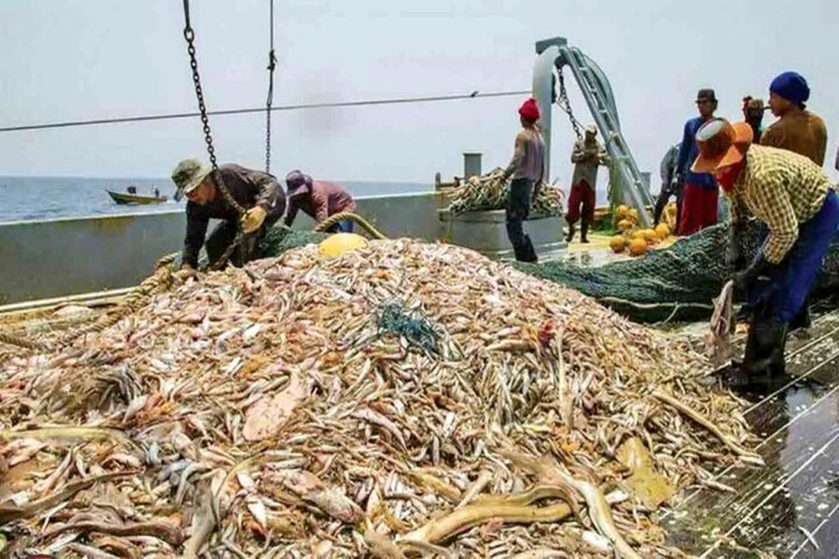 صید ترال صیادی