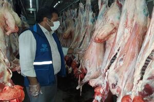 طرح تشدید کنترل و نظارت بهداشتی دامپزشکی در کردستان آغاز شد