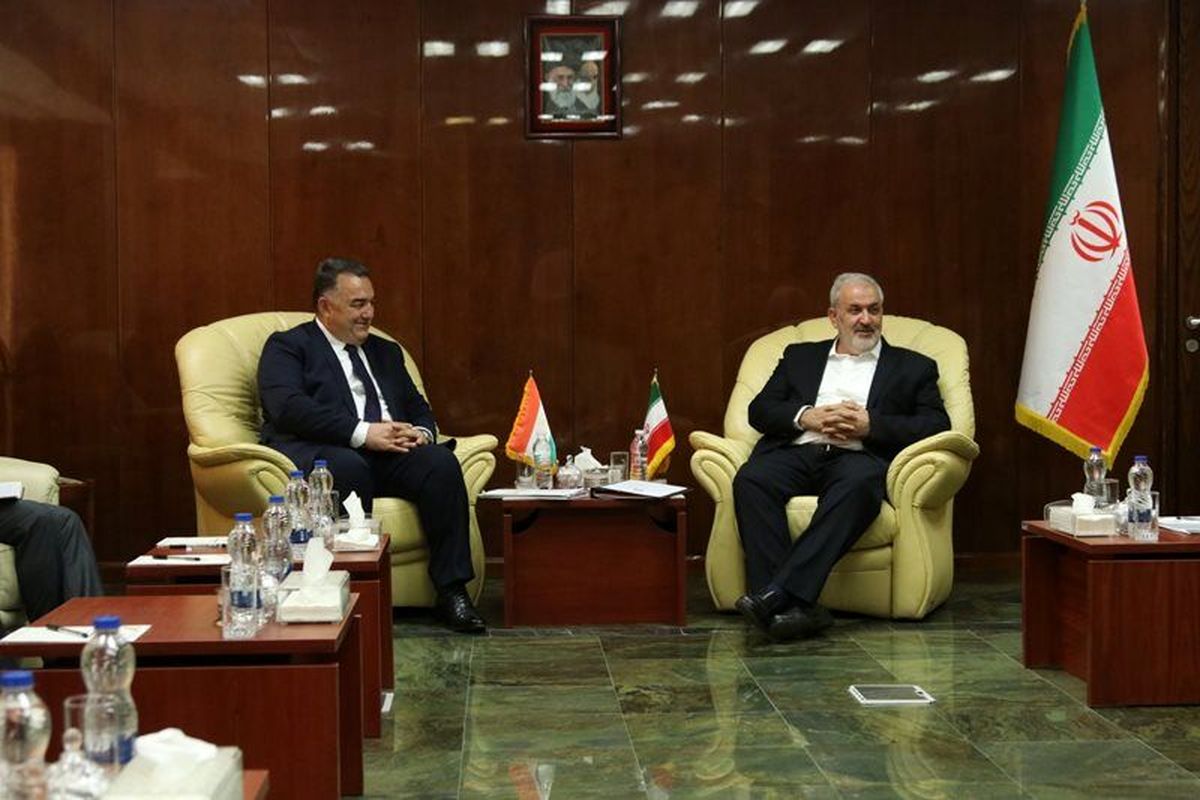 دیدار وزیر نیرو با وزیر انرژی و ذخایر آب تاجیکستان