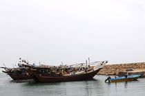 ایجاد کانون صادراتی جدید در نزدیکترین مرز ایران با قطر/ بندر شیوء در هرمزگان به سامانه یکپارچه بنادر کشور متصل شد