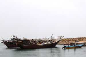 ایجاد کانون صادراتی جدید در نزدیکترین مرز ایران با قطر/ بندر شیوء در هرمزگان به سامانه یکپارچه بنادر کشور متصل شد