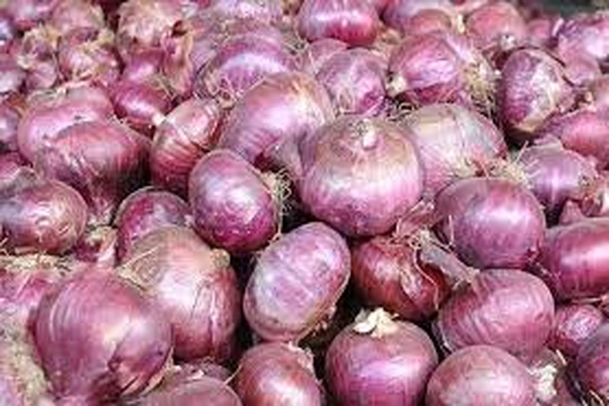 پیاز وارداتی