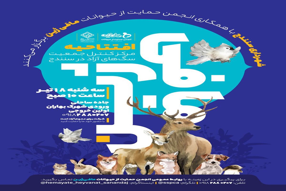 مرکز نگهداری سگ های آزاد