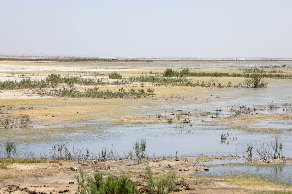 تالاب صالحیه