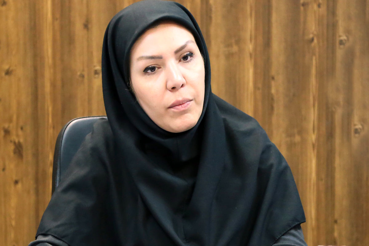 مدیرعامل صندوق ضمانت صادرات ایران