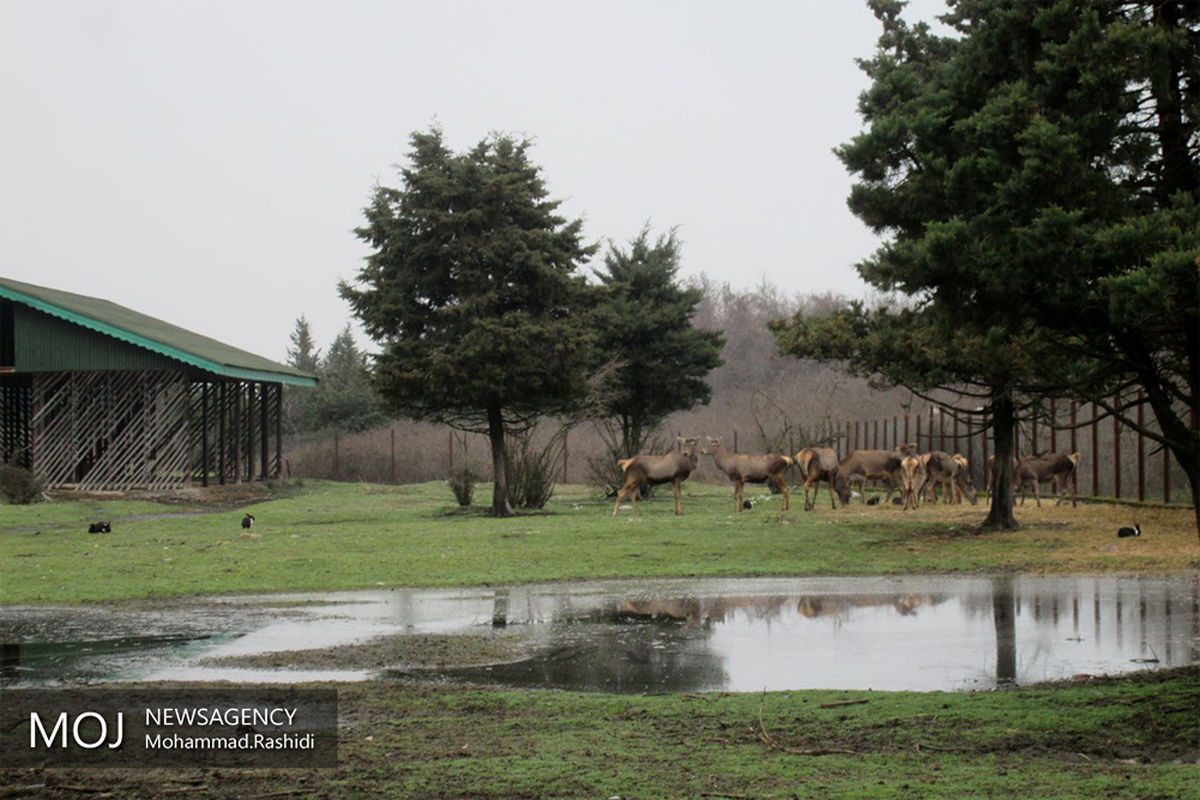 افتتاح پاسگاه محیط بانی در آستارا  با حضور عیسی کلانتری