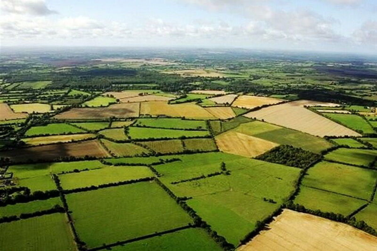 اراضی کشاورزی مازندران