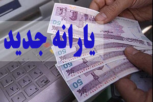 جزئیات یارانه جدید/ نحوه اعتراض کسانی که یارانه نگرفتند، اعلام شد