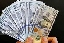 جدیدترین قیمت ارزها در بازار آزاد امروز ۲۳ مرداد ۱۴۰۵