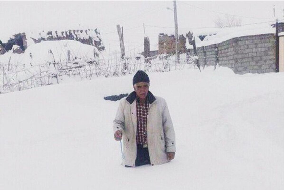 بارش برف