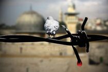 روز قدس روز تجلی حضور باشکوه امت پیامبر اعظم(ص) است
