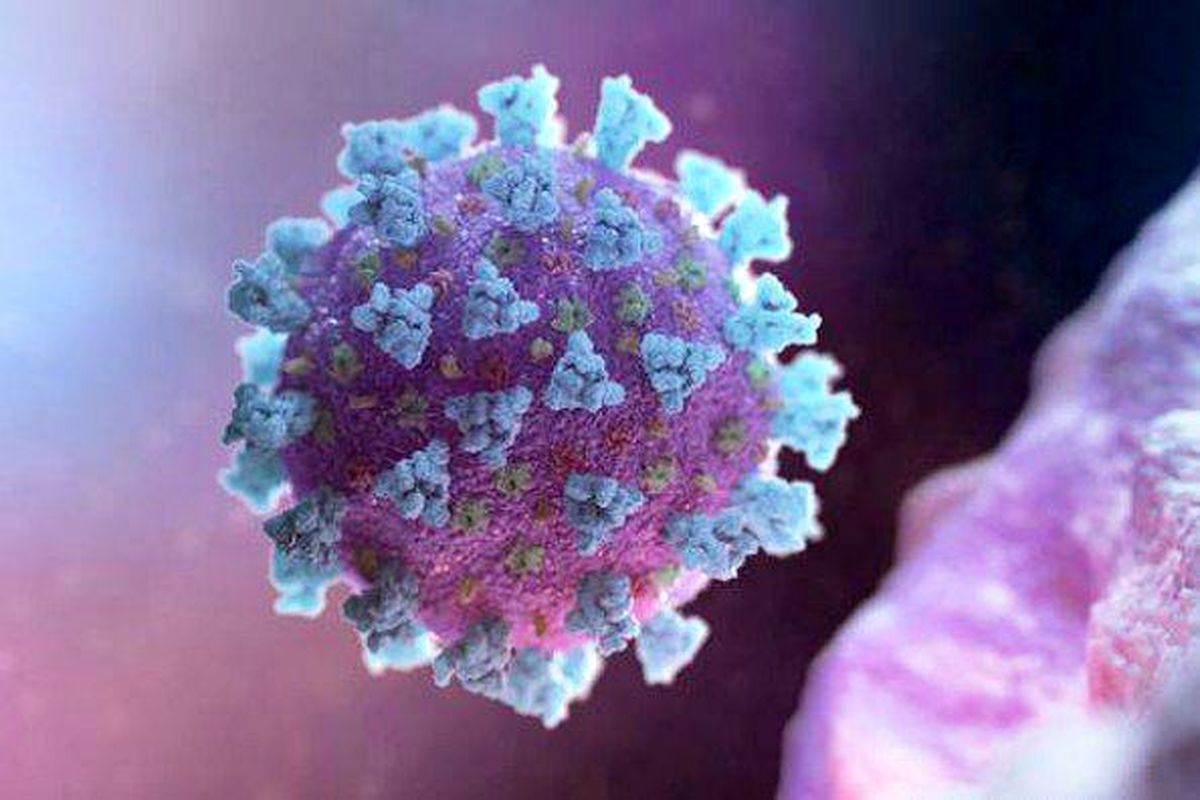 ویروس کرونا