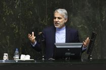 انتظار داشتیم که اصلاح ساختار بودجه توسط مجلس انجام شود/ مجلس درآمدهای نفتی دولت را افزایش داد
