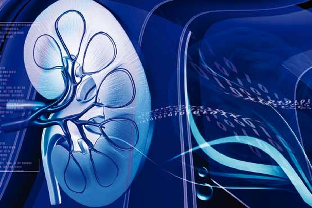 نارسایی کلیه