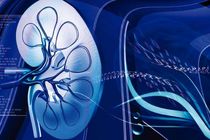 نارسایی کلیه خطر ابتلا به دیابت را بیشتر می‌کند