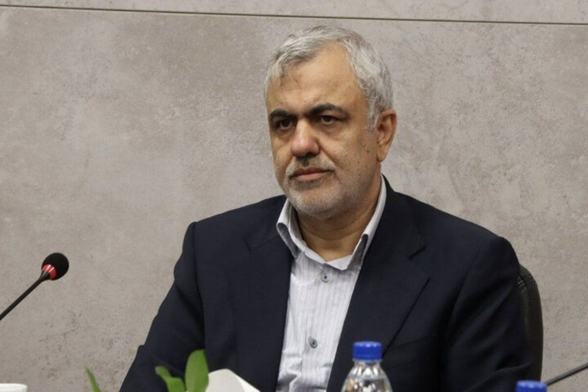 دهقان شرکت فرودگاه‌ها 