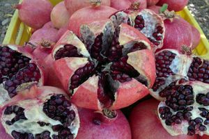 آیا می دانید انار در ترمیم عضلات چه تاثیری دارد؟