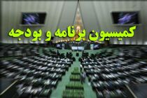تاجگردون رییس کمیسیون برنامه و بودجه شد / انتخاب محبی‌نیا و قوامی در کرسی نواب رییس