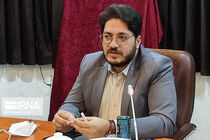یکی از ویژگیهای اربعین امسال آرامش در تردد زائرین بود