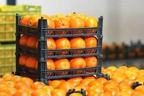  تحلیل درستی از بازار داشته‌ایم