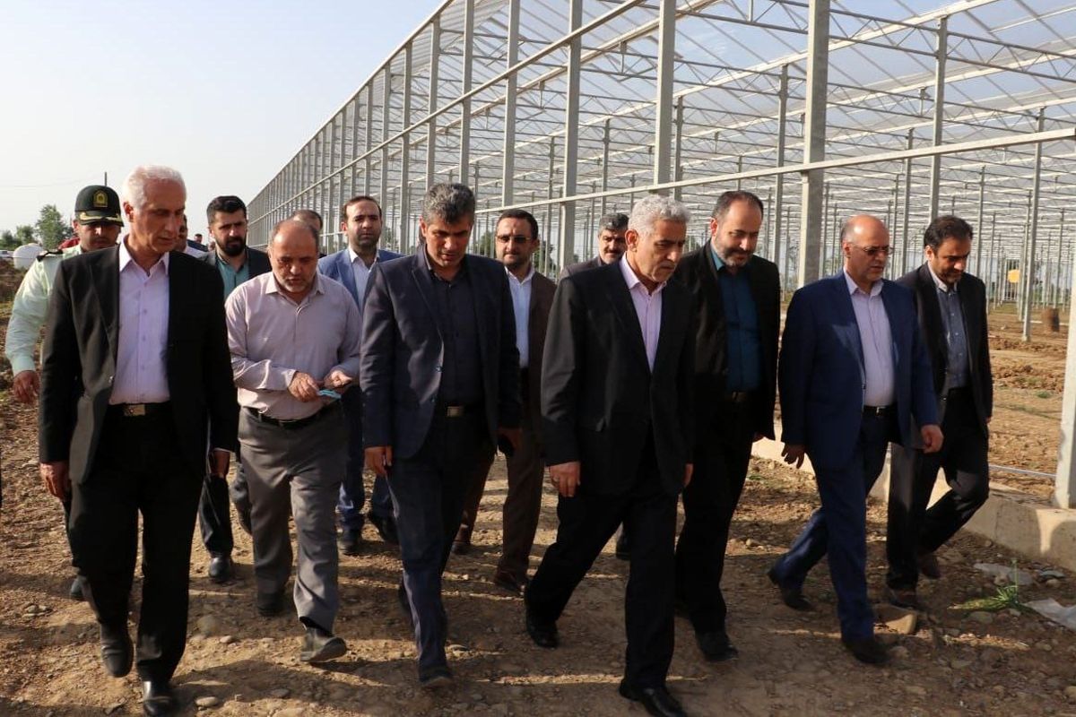 شهرک گلخانه‌ای دیسام سیاهکل