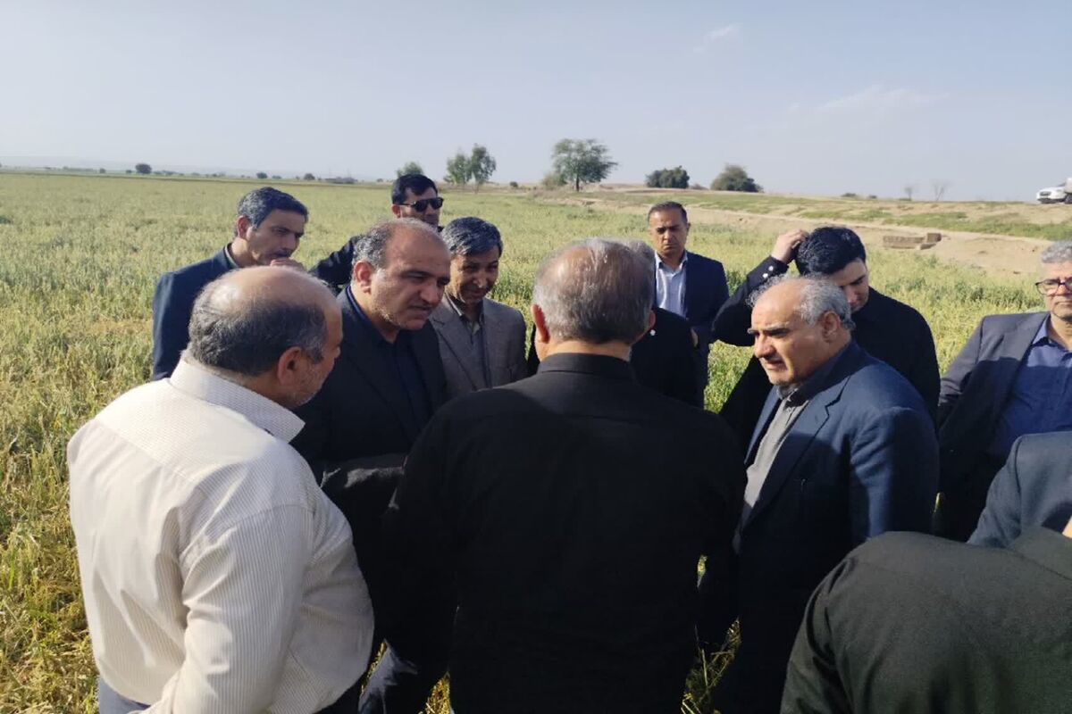 خسارت سیل