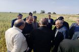 ابعاد و خسارات سیل به بخش کشاورزی اندیمشک بررسی شد