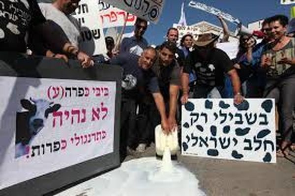 اعتراض دامداران و بحران لبنیات به خیابان‌های اسرائیل کشیده شد