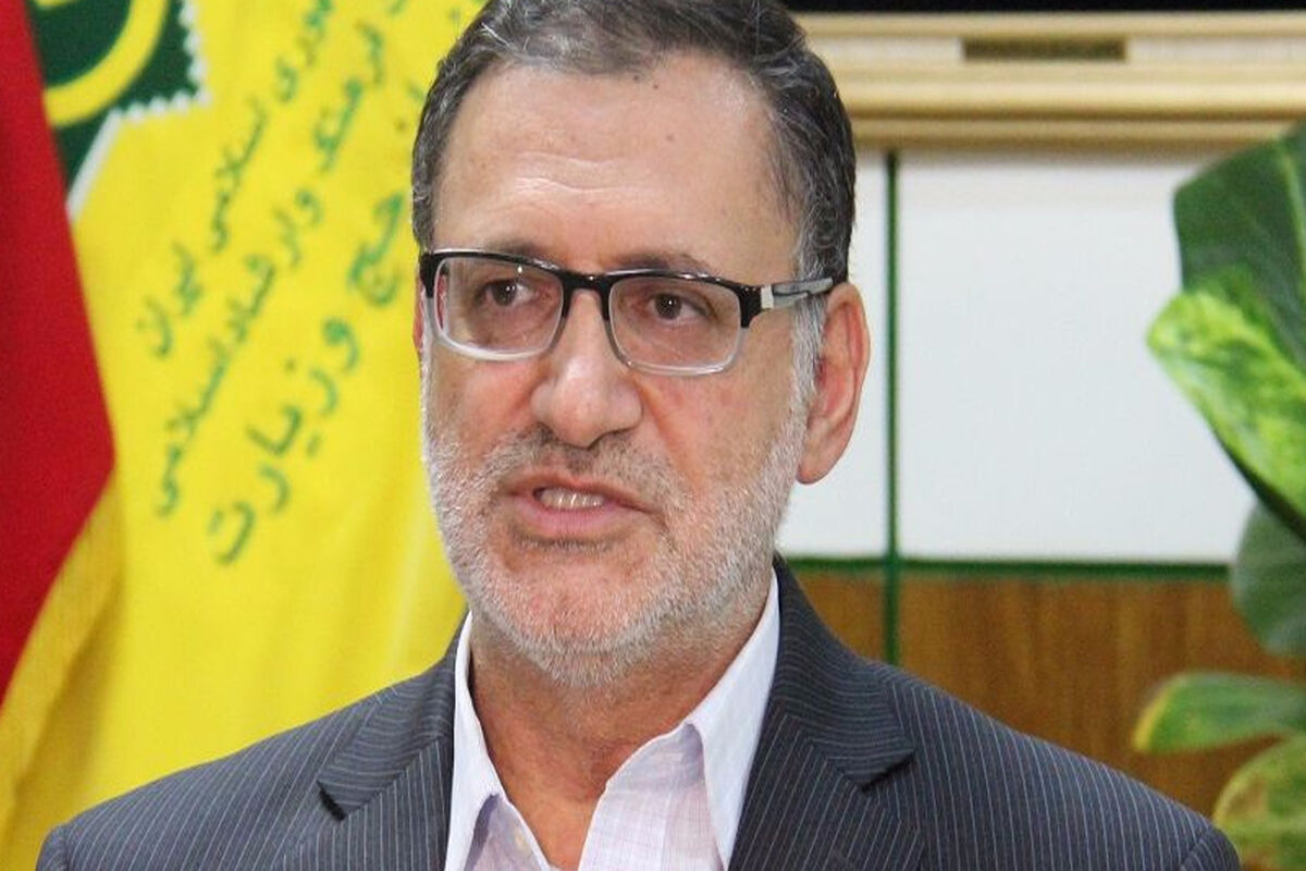 حمید محمدی رئیس سازمان حج و زیارت