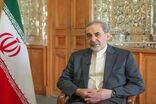 ولایتی بر ترک نیروهای خارجی از منطقه تاکید کرد