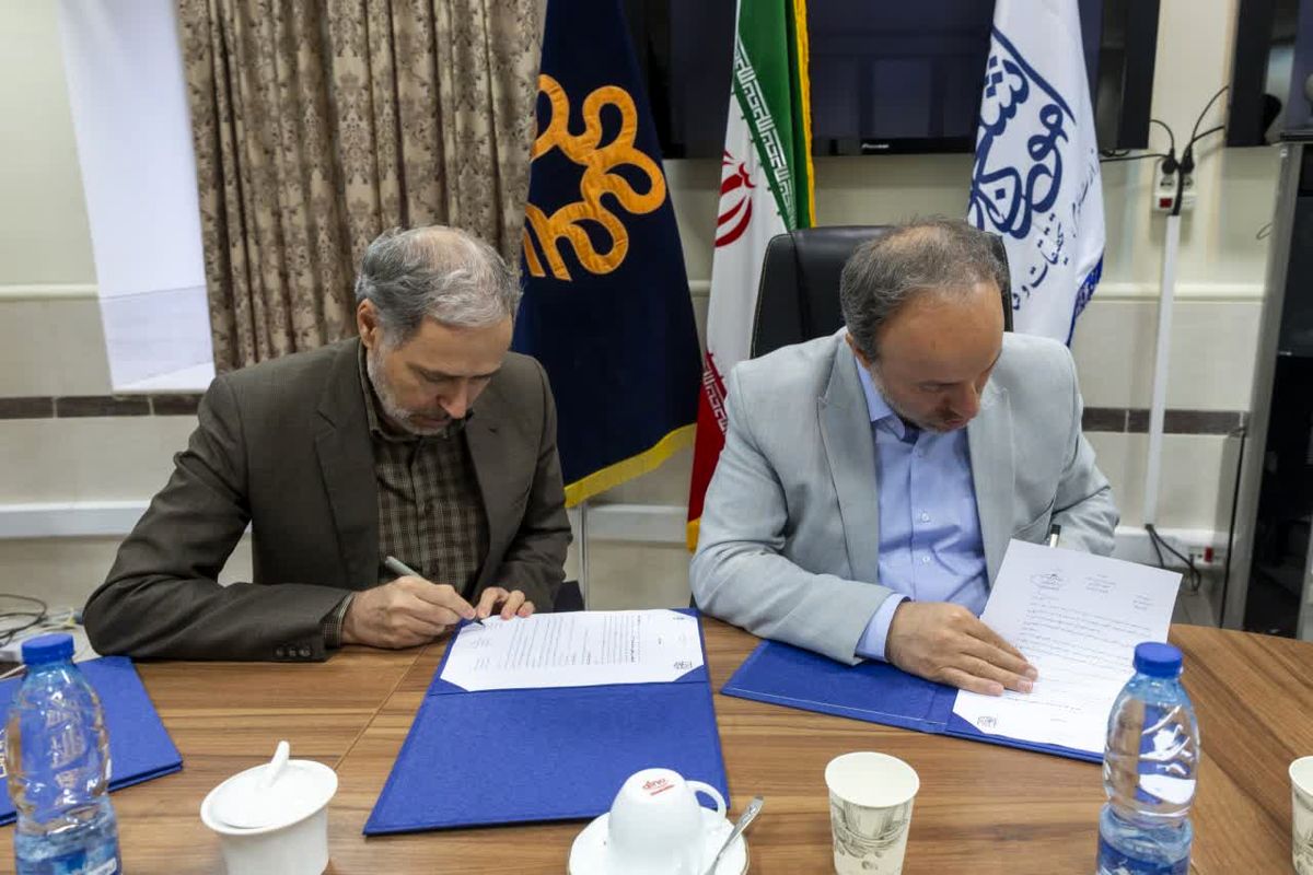 دانشگاه شیراز