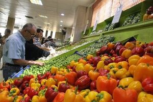 ۳۰ درصد محصولات کشاورزی به ضایعات تبدیل می شود