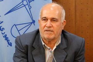 دستگاه قضایی در جهت حفظ حقوق عامه توجهی به جوسازی ها ندارد 