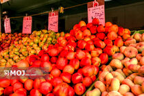 صادرات ۵۰ میلیون دلاری میوه‌های خوراکی و غلات از آذربایجان‌شرقی