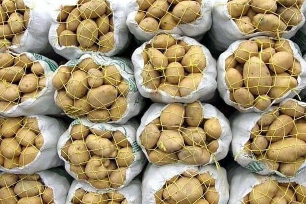 احتکار سیب زمینی