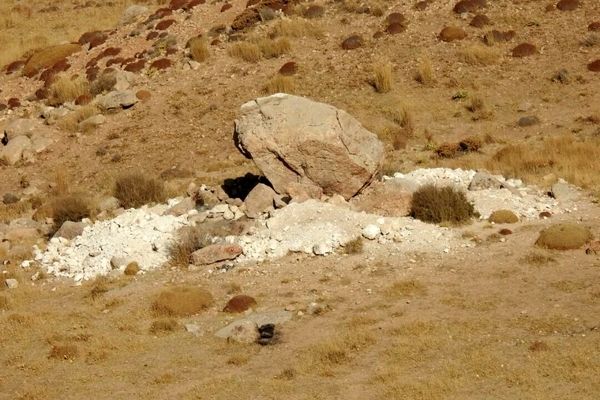 دستگیری ۳ حفار میراث تاریخی در ایلام