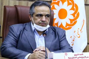 بیشترین معلولان حاصل سوانح هستند/ مناسب سازی خودروی معلولان در دستور کار است